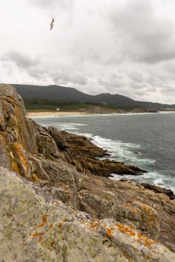 Barona, İspanya, 15 Eylül 2025: Arka planda bulutlu bir gökyüzü ile kayalık bir kıyı şeridinde bir kuş uçar. Sahne huzurlu ve huzurlu..