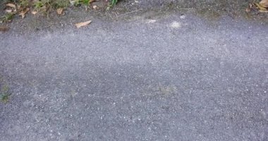 Üzerinde yosun büyüyen taş bir duvardaki pencere. Pencere küçük ve duvar çok eski.