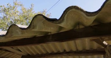 Yeşil suyu ve beton duvarı olan küçük bir gölet. Gölet çimenli bir alanla çevrilidir.