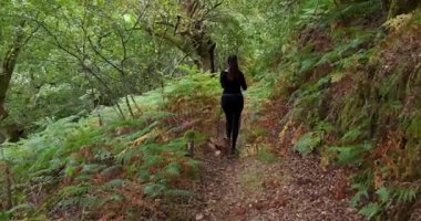 Düşük açılı bir kadın ve iki köpeği eğrelti otlarıyla yemyeşil bir ormanda yürüyorlar. Kadın siyah gömlek ve pantolon giyiyor..