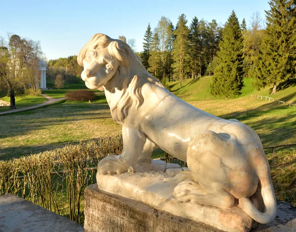 Estatua León Primer Plano Pavlovsk Cerca San Petersburgo Rusia — Foto de Stock