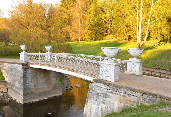 Żeliwny Most Parku Pavlovsk Słoneczny Wiosenny Wieczór Pobliżu Petersburg Rosja — Zdjęcie stockowe