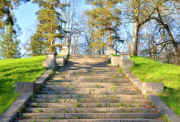 Escada Tridente Granito Velho Parque Mariental Pavlovsk Perto São Petersburgo — Fotografia de Stock