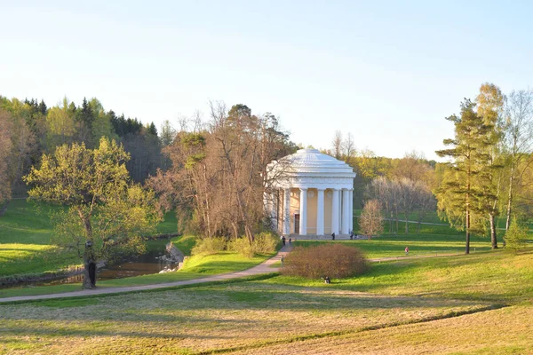 Paisaje Parque Pavlovsk Soleado Día Primavera Cerca San Petersburgo Rusia — Foto de Stock