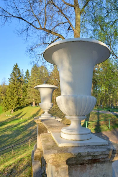 Vaso Decorativo Pavlovsk Park Subúrbio São Petersburgo Rússia — Fotografia de Stock