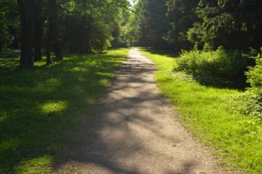 Yaz, Rusya parkta sokakta.