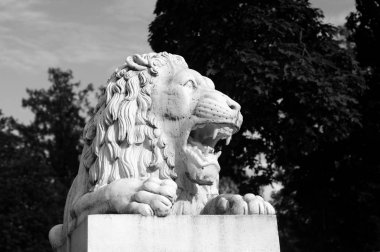 St. Petersburg, Rusya Federasyonu sokakta aslan heykeli. Siyah ve beyaz.