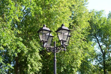 St.Petersburg, Rusya'nın yaz yeşillik zemin üzerine eski tarzda sokak lambası.