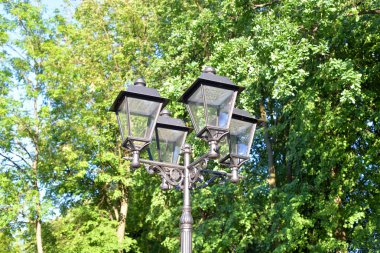 St.Petersburg, Rusya'nın yaz yeşillik zemin üzerine eski tarzda sokak lambası.