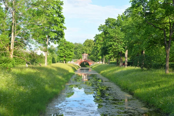 中国のクロス ブリッジとサンクトペテルブルグ ロシアの郊外プーシキン市アレクサンダー公園の運河 — ストック写真