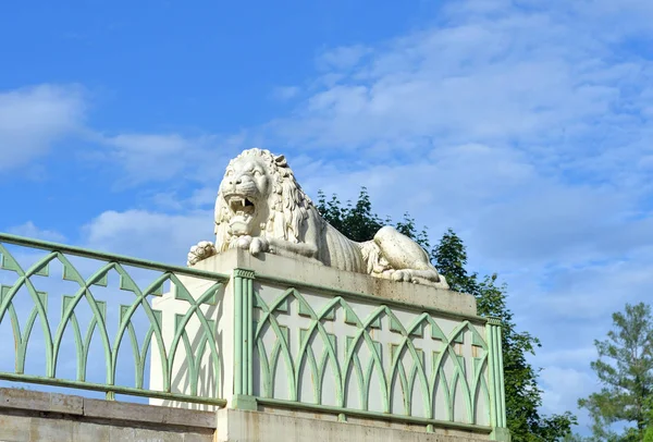 Løveskulptur Tsarskoje Selo Russland – stockfoto
