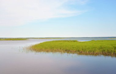 Sulak Gölü Sestroretsky Razliv Sankt Petersburg, Rusya.
