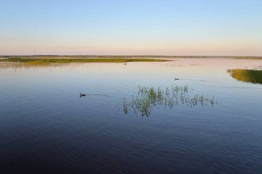 Gün batımında sulak Gölü Sestroretsky Razliv Sankt Petersburg, Rusya.