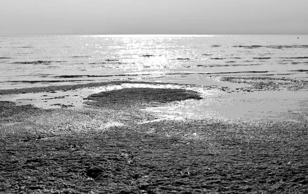 Costa Del Golfo Finlandia Del Mar Báltico Rusia Blanco Negro —  Fotos de Stock