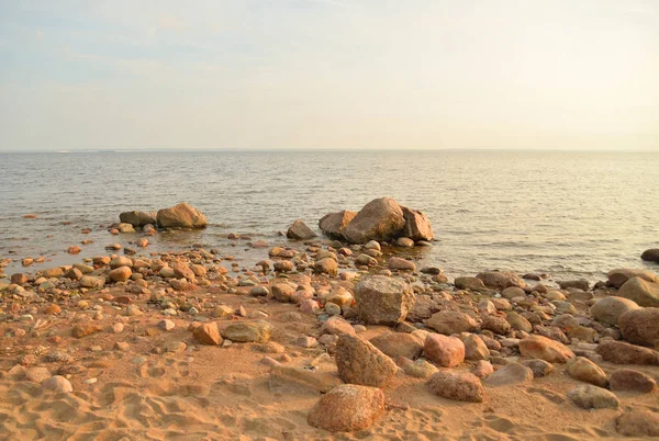 Узбережжя Фінської Затоки Балтійського Моря Сонячний Вечір — стокове фото