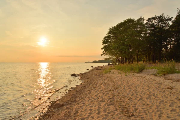 Узбережжя Фінської Затоки Балтійське Море Заході Сонця — стокове фото
