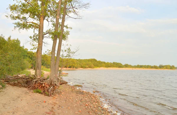 Costa Del Golfo Finlandia Del Mar Báltico Día Soleado —  Fotos de Stock