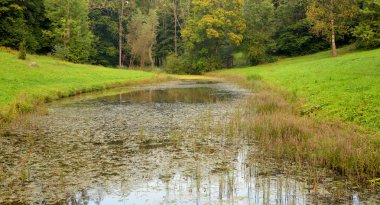Duderhof tepelerindeki parkta terk edilmiş bir gölet, Rusya.
