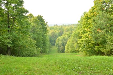 Yaz gününde Duderhof heights, Rusya, yaprak döken orman.