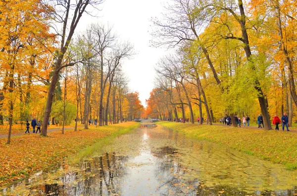 Canal Alexander Park Tsarskoye Selo Otoño Suburbio San Petersburgo Rusia — Foto de Stock