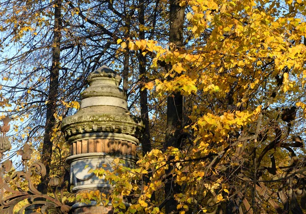 Fragmen Pagar Kebun Mikhailovsky Petersburg Rusia — Stok Foto