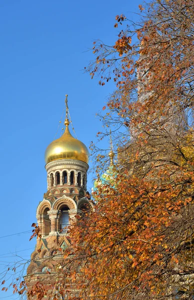 俄罗斯圣彼得堡洒血大教堂和秋树的救世主碎片 — 图库照片