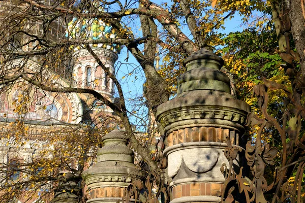 俄罗斯圣彼得堡米哈伊洛夫斯基花园的篱笆碎片 — 图库照片