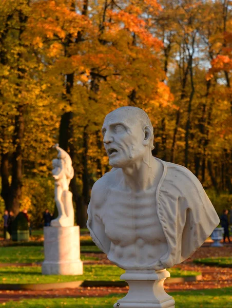 Statue Ancien Philosophe Romain Seneca Dans Jardin Été Saint Pétersbourg — Photo