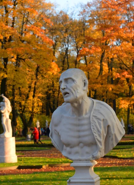Estátua Antigo Filósofo Romano Seneca Jardim Verão São Petersburgo Rússia — Fotografia de Stock