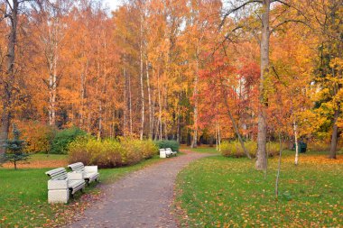 Bulut gün, Rusya Sonbahar Park yolu.