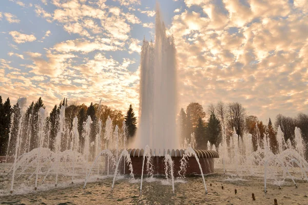 Déluge Eau Une Fontaine Saint Pétersbourg Coucher Soleil Russie — Photo