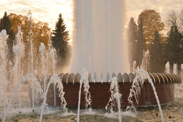 Chorro Agua Una Fuente San Petersburgo Atardecer Rusia — Foto de Stock