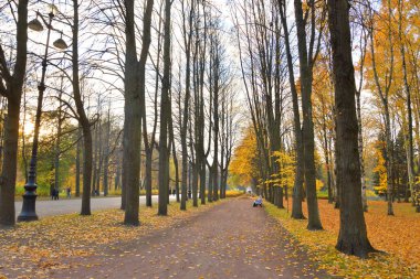 Sokakta park sonbahar bulut gün, Rusya Federasyonu.