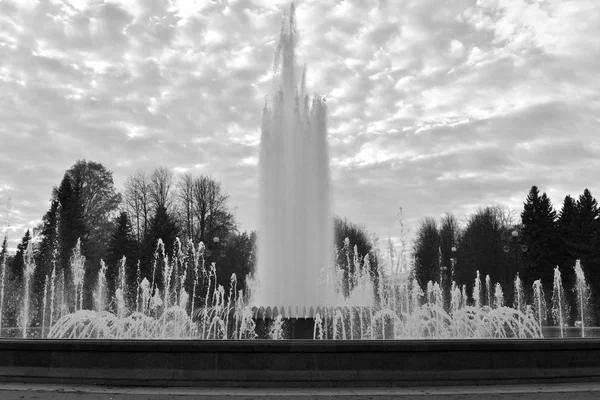 Gush Van Water Van Een Fontein Sint Petersburg Bij Zonsondergang — Stockfoto