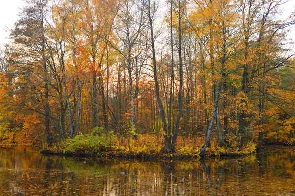俄罗斯池塘沿岸公园的秋季树木 — 图库照片