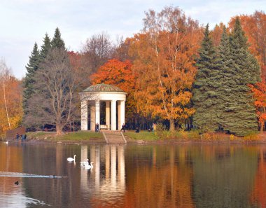 Primorskiy zafer Park Krestovsky Adası St. Petersburg, Rusya Federasyonu'sonbahar manzara.