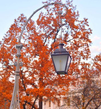 St.Petersburg, Rusya Federasyonu sonbahar yaprakları arka plan üzerinde klasik tarzda sokak lambası.