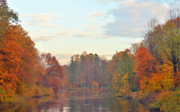 Los Árboles Otoño Parque Orilla Del Estanque Rusia —  Fotos de Stock