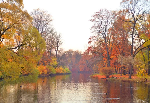 Árvores Outono Parque Costa Lagoa Rússia — Fotografia de Stock