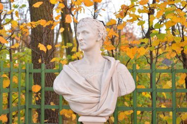 marcus ulpius nerva traianus - Antoninler Hanedanı Yaz Bahçesi, st.petersburg, Rusya Federasyonu'nun Roma İmparatoru heykeli.