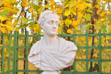 Titus Flavius Vespasianus Roma İmparatoru Flavius Hanedanı yaz bahçesinde, St.Petersburg, Rusya'nın heykeli.