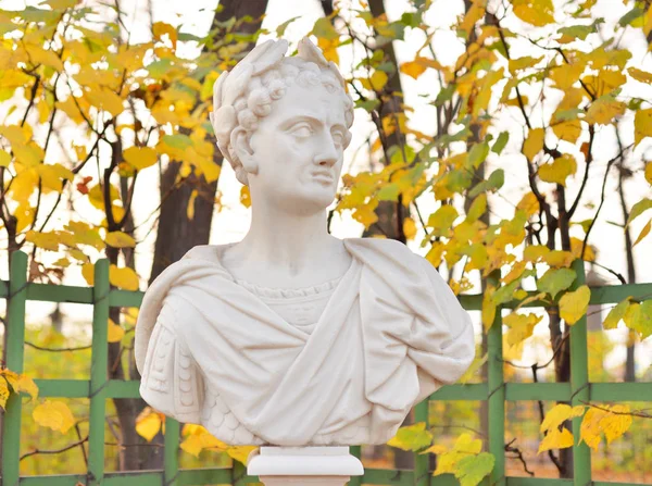 Statue Empereur Romain Dans Jardin Été Saint Pétersbourg Russie — Photo