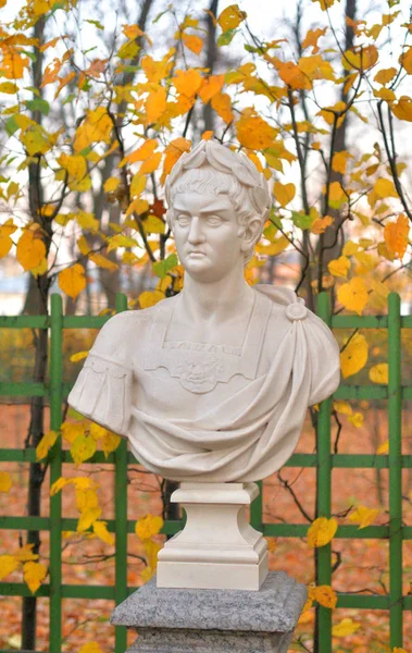 Statue Nero Claudius Caesar Augustus Germanicus Summer Garden Evening Petersburg — Stock Photo, Image
