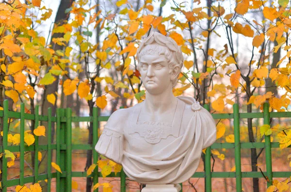 Standbeeld Van Nero Claudius Caesar Augustus Germanicus Zomertuin Avond Petersburg — Stockfoto