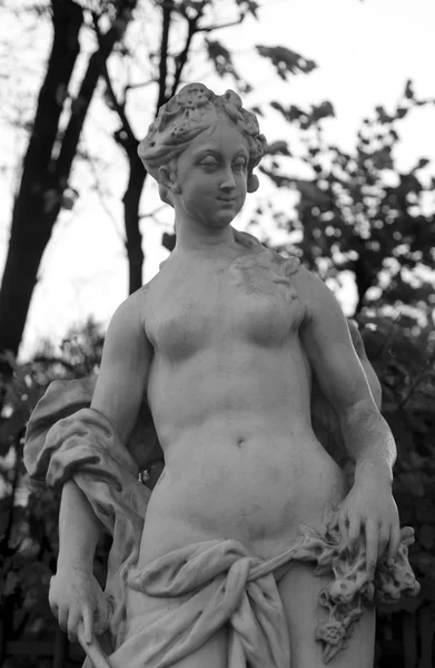 秋の夜 サンクトペテルブルグ ロシアの夏の庭でオーロラの女神の像 夜明けのローマの女神 黒と白 — ストック写真