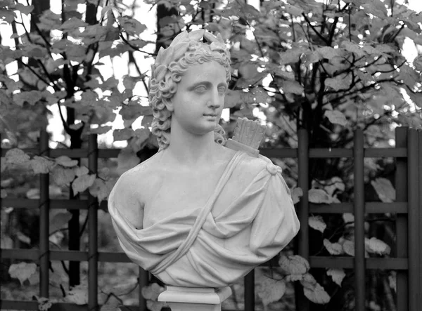 Estatua Alegoría Del Sol Jardín Verano Noche Otoño San Petersburgo — Foto de Stock