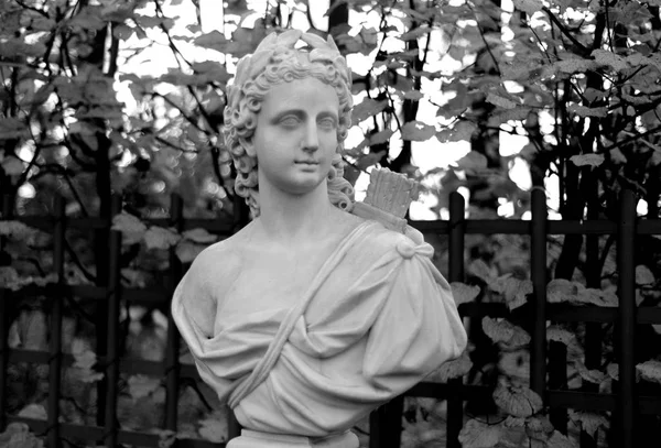 Estatua Alegoría Del Sol Jardín Verano Noche Otoño San Petersburgo — Foto de Stock