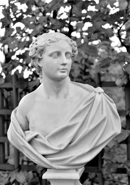 Statue Jeune Homme Dans Jardin Été Soirée Automne Saint Pétersbourg — Photo