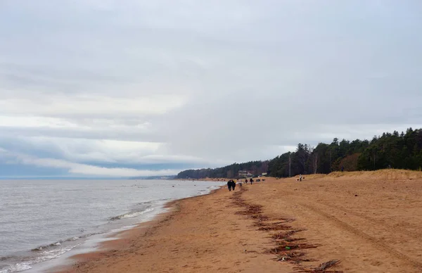 Plage Sur Côte Golfe Finlande Mer Baltique Par Temps Nuageux — Photo