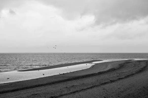 Strand Kust Van Finse Golf Oostzee Dag Een Wolk Rusland — Stockfoto